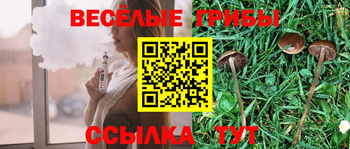 Галлюциногенные грибы мицелий  Вход с VPN  Отрадный 